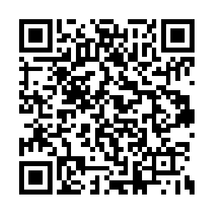 它们全部都是因为这祖地中积聚的怨念不甘太多二维码生成