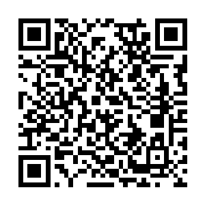 它们只是用这样的方式来表达自己内心的害怕而已二维码生成