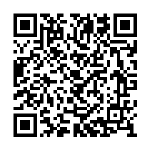 它们只要把那个元晶中的能量全部吸取出来就行二维码生成