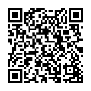 它们吃的都是被吸进来的那些鱼虾之类的水生动物二维码生成