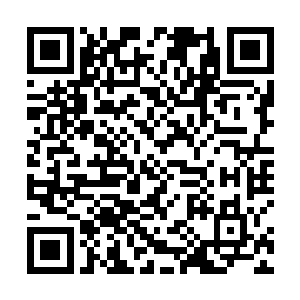 它们在帮助自己也是因为它们认为自己是它们中的一员二维码生成