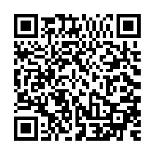 它们宁愿去用自己的鼻子卷着粗大的木材来往于树林和工地之间二维码生成