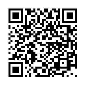 它们完全是根据我身上的臭味来追踪我的二维码生成