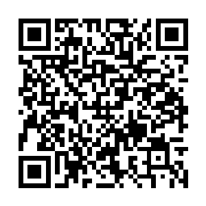 它们完全没想到自己面对的竟是这样一个人形煞神二维码生成