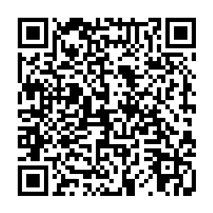 它们对于外界环境也是越来越不适应的……让它们出战的几率也是越来越小的二维码生成