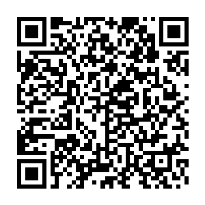 它们就是等待着一个带着灵武大陆最高修为修士回到极北之地的时机二维码生成