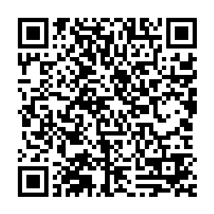 它们属于一些重要理论尚未被证实的学者――这些重要理论一旦被证实二维码生成