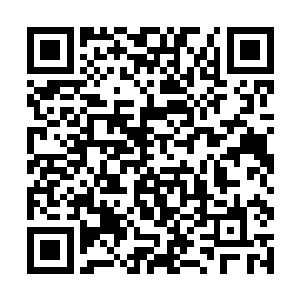 它们抛弃野性放弃了捕猎的本能成为一个任人玩弄的二维码生成