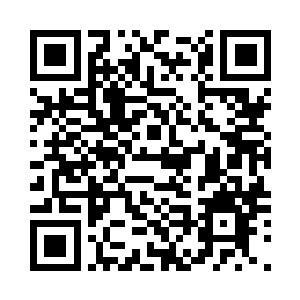 它们是这片天地下唯一不和谐的色彩二维码生成