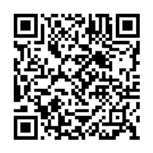 它们根本就不会因为夏天的攻击强悍而士气大弱二维码生成