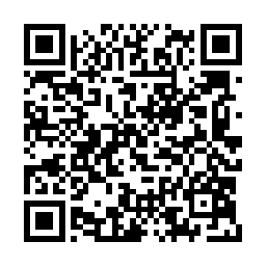 它们的地盘相对于远蛮界岛就是个超级庞然大物二维码生成