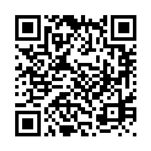 它们的形态都与普通火焰相差无几二维码生成