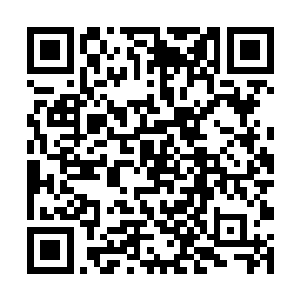 它们的身体就会因为无法吸收而造成能量过盛的情况二维码生成