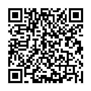 它们的这个窝竟然就是在一个地底的陵墓万人坑当中二维码生成