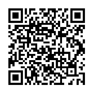 它们脑海中的它正是几月之前突然出现的一条蛇类妖兽二维码生成