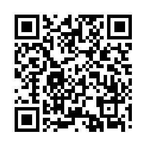 它们融入了马文的体内――更确切的说二维码生成