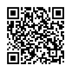 它们这会儿比刚抱来的时候精神多了二维码生成