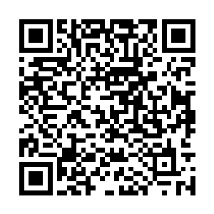 它们都开始按照许紫烟的意念在虚空之中排列组合二维码生成