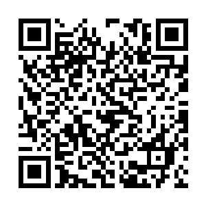 它再也不用为了掩饰和其他魔兽的特别而闭口不言二维码生成