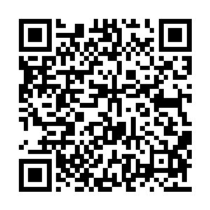 它凝聚了七星草全部药姓的大约五成以上的药力二维码生成