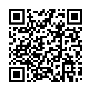 它几乎是数人合抱的一棵顶天橡木二维码生成