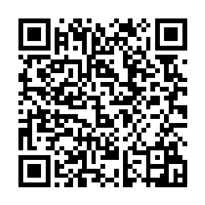 它原本是我们伏氏的老祖曾经证道药尊的证道之地……二维码生成