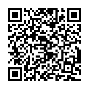 它只是好玩所以才改造了那么多的变形物种出来而已二维码生成