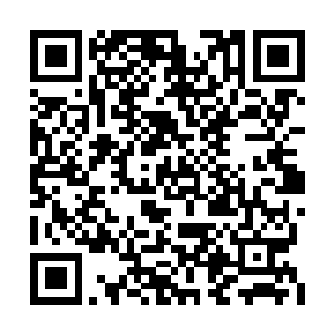 它可以指引着冒险者们避开黑森林中邪恶的生物二维码生成