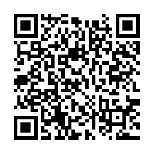 它可是感觉到这里面的猛兽灵兽貌似全部饿了许久二维码生成