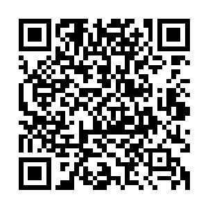 它同样一直认为人类根本没有办法依靠自己的力量培养出龙王兰二维码生成