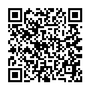 它将盘古文明联盟中诸多强者的形象糅合到一起二维码生成