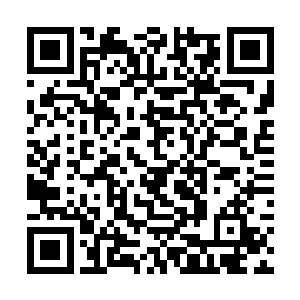 它就会在本能的驱使下疯狂吞噬大量的陨石和小行星二维码生成