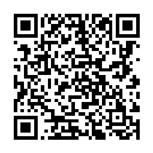 它就像――就像――就像已经认了白大千做主人似的二维码生成