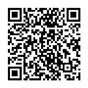 它就拼了命地亮出了自己的武器――一根细细的绵针二维码生成