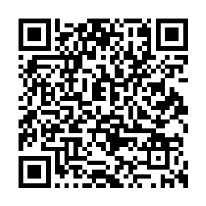 它幻化出來的那只小蛇属性也一定是水属性衍生二维码生成