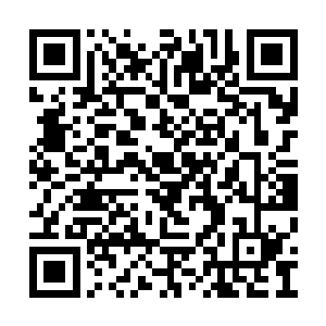 它张口将一个正好在它眼前的日本士兵咬成两节二维码生成