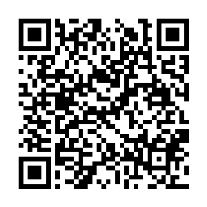 它很开心小主人和小哥哥能和她一起进去她的王国二维码生成