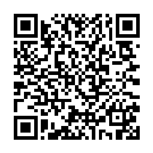 它必须迅速解决这里的战斗好阻止界内所有力量反抗二维码生成