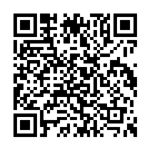 它忽然意识到……这个强行出现在它面前的女人二维码生成