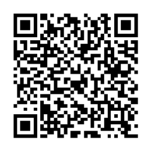 它想要从她眼中看出一些和以往那些人一样的目光二维码生成