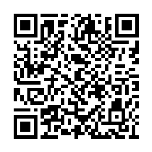 它所在的地方一定是土属性元素十分强烈的地方二维码生成