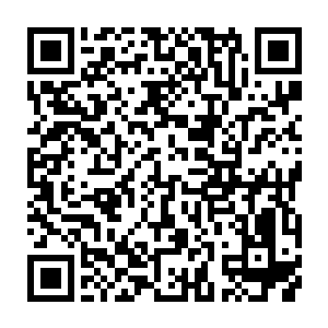 它才能稍稍认识到恐龙万分之一的强大和暴虐才会知道这个世界有多么辽阔二维码生成