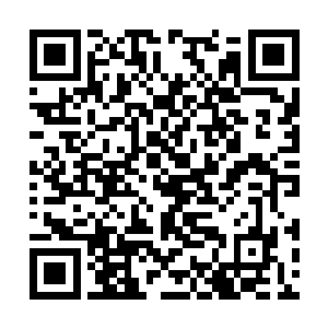 它无法自主把自己本身具有的力量给导出我的身体二维码生成