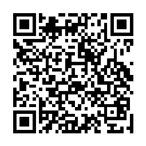 它最大的作用则是为大梦做了一次天然的梳理和鉴定工作二维码生成