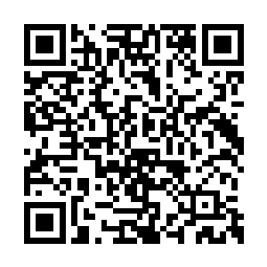 它没办法像天灵遁术一样给苏林提供隐形的能力二维码生成