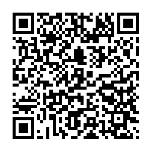 它没想到当初一穿过来的时候无央救她居然就在她身体里下了傀儡符二维码生成