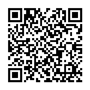 它现在已经不是去年那个娇小的可以抱在怀里的萌物了二维码生成