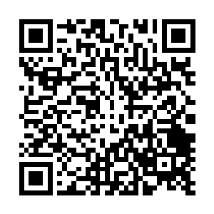 它甚至对那些居住在石屋里的小孩也吐了几道风刃吓唬他们二维码生成