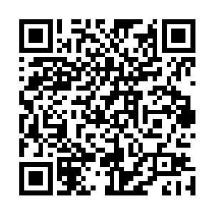 它用自己的毒针拍打着蛇君妹妹的脸颊以及身体的其它部位二维码生成