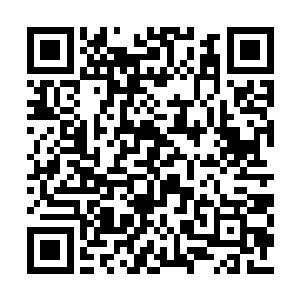 它的入侵触发了隐匿在红极星神魂最深处的禁制二维码生成